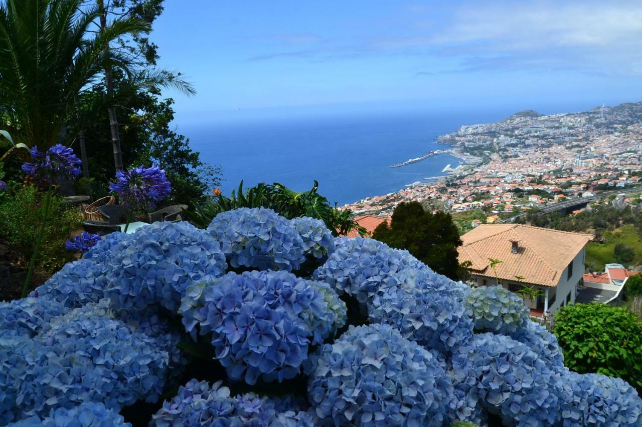 Holiday House 4 You Villa Funchal  Exterior foto